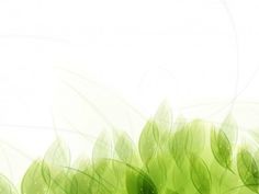 an abstract green background with leaves