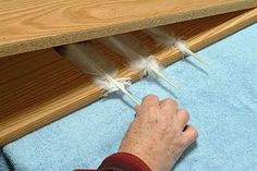 a hand is pointing at some feathers on the floor next to a blue towel and wooden table