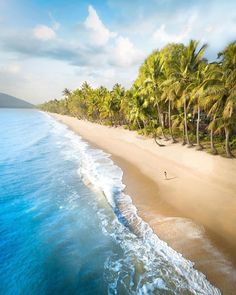 an aerial view of a beach with palm trees and the ocean in the foreground