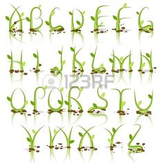 the alphabet made up of green grass and beans