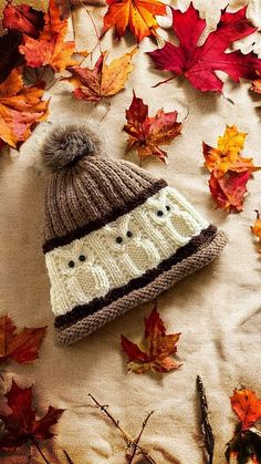 a knitted hat laying on top of autumn leaves