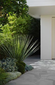 an open door to a white house surrounded by greenery