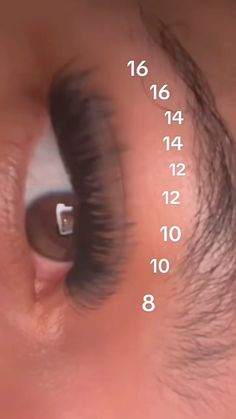 Cluster Eyelash Mapping, Lash Map With Clusters, Lashes Numbers, Lash Numbers, Short Lash Map Clusters, Lashes Set Ideas, Eyelash Cluster Mapping Styles, Eyelash Clusters Map