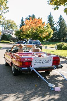 two dogs are sitting in the back of a red car with a sign on it