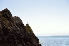 a bird sitting on top of a large rock next to the ocean in front of it