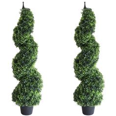 two tall potted plants are shown in the shape of a spirally shaped tree