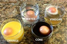 three glasses with different types of eggs in them