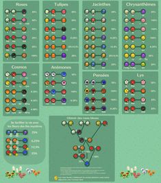 an info sheet showing the different types of beads in each type of beaded bracelet