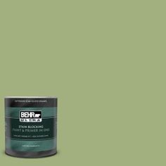 the behr paint is light green with white trim