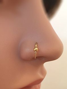 a close up of a nose with a gold nose ring on it's side