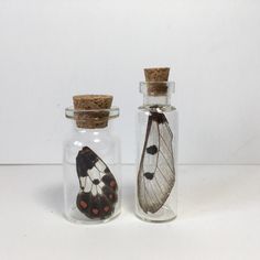 two glass bottles filled with moths on top of a white table