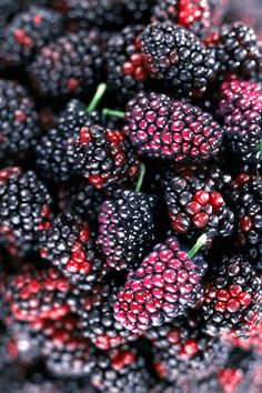 blackberries and raspberries are piled on top of each other