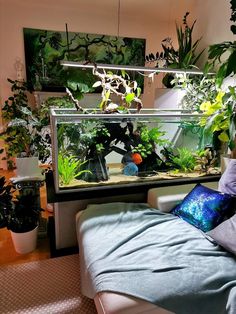 a fish tank filled with plants in a living room next to a bed and pillows