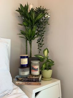 a white nightstand topped with books next to a potted plant