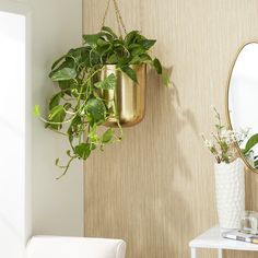 there is a potted plant hanging on the wall next to a mirror and chair