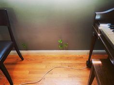 a piano sitting next to a chair in front of a wall with a plant on it