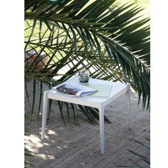 a small table with a magazine on it next to a palm tree and some leaves