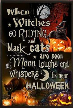 a halloween poster with cats and pumpkins