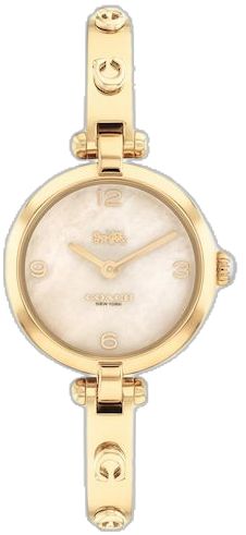 Classic Gold Coach Watch, Timeless Coach Jewelry For Gift, Coach Gold Watch For Gift, Coach Gold Watch As Gift, Coach Gold Watch As A Gift, Elegant Gold Coach Watch, Coach Gold Watches With Metal Dial, Elegant Coach Jewelry With Polished Finish, Coach Gold Watch With Metal Dial