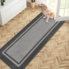 a dog is sitting on the floor next to a door mat that has a herringbone pattern