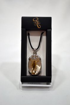 Make a bold statement with our resin-encased over metal oval-shaped scorpion necklace. This unique piece showcases a real scorpion delicately preserved in clear resin, capturing its intricate form and captivating presence within an elegant oval pendant. The pendant is securely mounted on a metal base, adding durability and a touch of sophistication to the design. The adjustable nylon cord ensures a comfortable fit for all, while the lightweight construction allows for effortless wear. Handcrafte Oval Clear Jewelry Gift, Oval Clear Jewelry For Gifts, Oval Resin Jewelry As Gift, Oval Resin Jewelry Gift, Real Scorpion, Scorpion Necklace, Spider Necklace, Voodoo Dolls, Birthday Wishlist