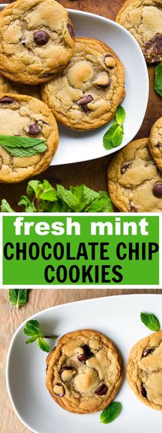 chocolate chip cookies on plates with mint leaves and fresh mints in the background text reads, fresh mint chocolate chip cookies