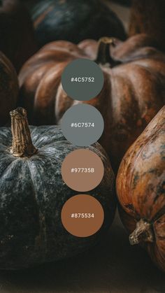 Charcoal dusted earth tones make for a practical take on autumn hues. Try it in the home office, library, living room, or loft / condo / bachelor apartment. #colorpalette #colourpalette #autumn #fall #brown #leather #grey #masculine Fall Earth Tone Color Palette, Dark Earth Tones Colour Palettes, Fall Paint Colors Living Room, Earthy Home Living Room, Color Palette Academia, Dark Grey Palette, Brown Neutral Color Palette, Cozy Fall Color Palette, Earthy Color Palette Branding