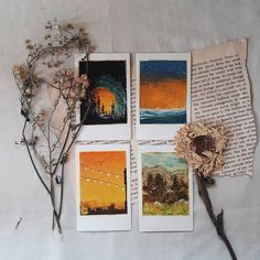 four different pictures are displayed on top of an open book with dried flowers in the foreground