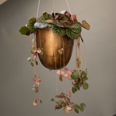 a hanging planter filled with lots of green leaves and pink flowers on a gray wall