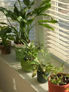 some plants are sitting on a window sill