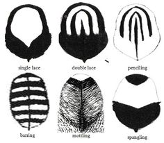 different types of hair and their names