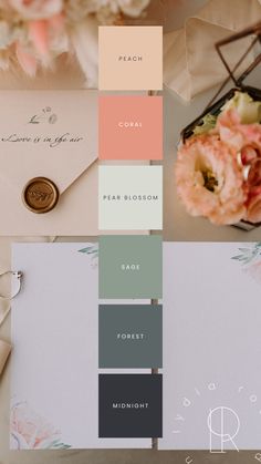 Alt Text: A moodboard featuring a harmonious sage and coral color palette. The palette includes midnight green, dark forest green, sage, pale green, coral, and peach. These colors are arranged in a stylish and visually appealing layout, perfect for small business branding or luxury weddings. The combination of deep and soft hues creates a balanced and elegant aesthetic. The moodboard showcases color swatches and design elements that highlight the versatility and beauty of this palette. Sage Colour Palette, Colour Palette Wedding, Coral Color Palette, Sage Color Palette, Coral Colour Palette, Wedding Color Pallet, Designer Branding, Midnight Green