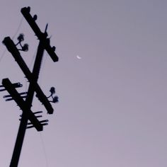 an electric pole with multiple power lines attached to it and the moon in the background