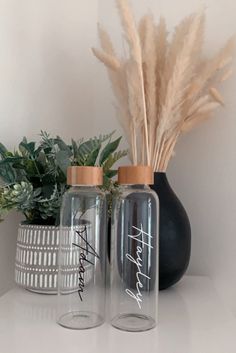 two glass jars with writing on them next to a potted plant and a black vase