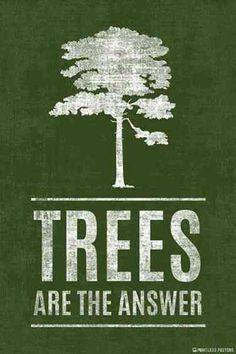 the words trees are the answer on a dark green background with white tree silhouettes