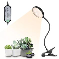 a lamp that is on top of a table next to some potted plants and rocks