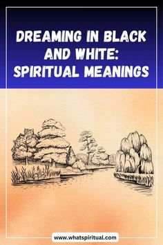 a book cover with the title dreaming in black and white spiritual meaningss on it