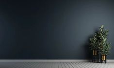 an empty room with two planters on the floor and a blue wall in the background