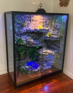 a fish tank with plants and rocks in the bottom half, on top of a hard wood floor