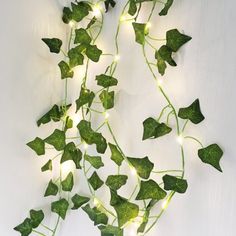 a green plant with white lights hanging from it's sides and leaves on the wall