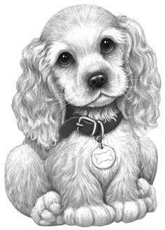 a drawing of a small dog with a collar and tag on it's collar