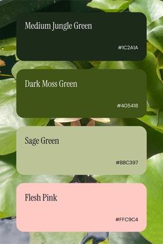 the green color scheme for water lilies is shown in three different colors, including dark moss green and flesh pink