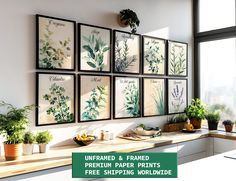 a kitchen with plants on the wall and pictures above it that says unframed & framed premium paper prints free shipping included