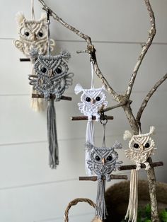 crocheted owl ornaments hanging from a tree branch in front of a white wall