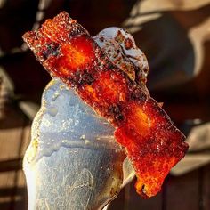 a piece of bacon sitting on top of a metal spoon