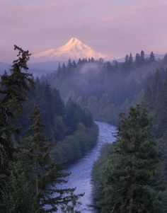 a river running through a lush green forest next to a snow covered mountain in the distance