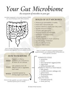 Functional Health, Motivasi Diet, Nutritional Therapy, Tongue Health, Health Research, Gut Microbiome, Hormone Health, Health Knowledge, Holistic Nutrition