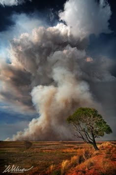 Pirocumulus on 500px by William Nguyen-Phuoc, Darwin, Australia Darwin Australia, Cloud Painting, Sky And Clouds, Pics Art, Photography Nature, Aesthetic Photography