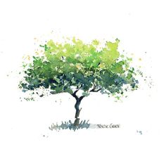 a watercolor painting of a green tree