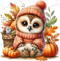 an owl in a knitted hat and scarf sitting next to pumpkins